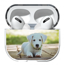 Etui personnalisé pour Airpods 2