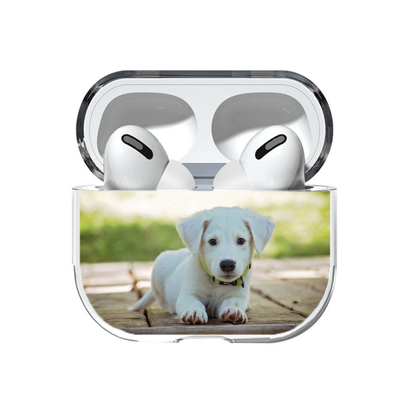Etui personnalisé pour Airpods 2